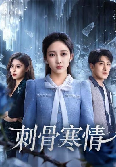 刺骨寒情（58集）林可汉＆马菲 高清完整版