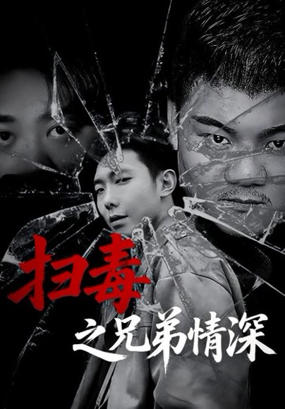 扫毒之兄弟情深（50集） 高清完整版