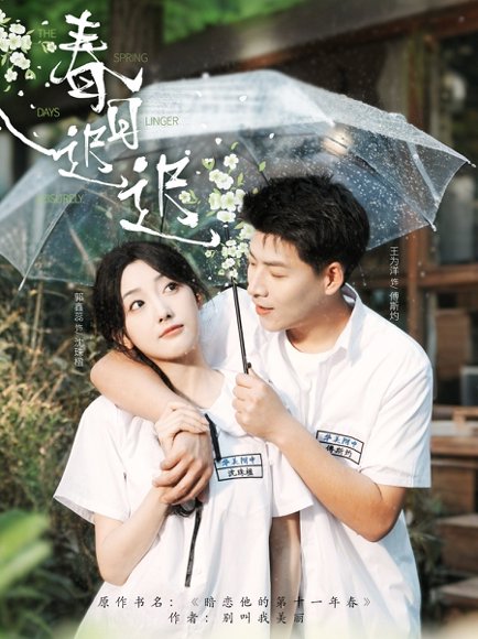 春日迟迟（95集）王为洋＆郭鑫蕊 高清完整版