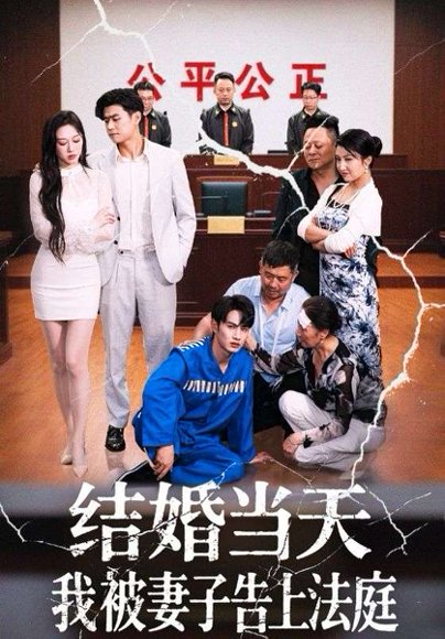 结婚当天我被妻子告上法庭（30集）王惠子&张玉忱 高清完整版