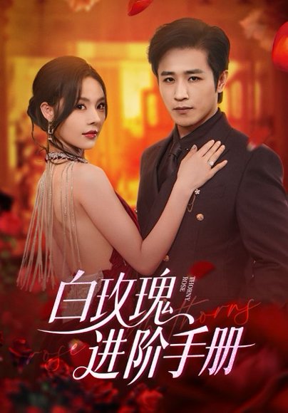 白玫瑰进阶手册（64集）古铭瀚＆赵西 高清完整版