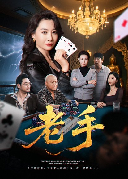 老手（36集）王圻嘉&袁珉 高清完整版